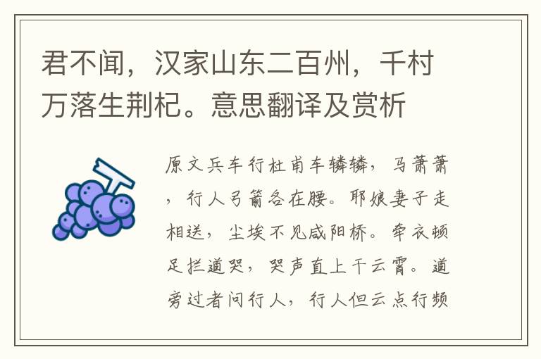 君不闻,汉家山东二百州,千村万落生荆杞。意思翻译及赏析