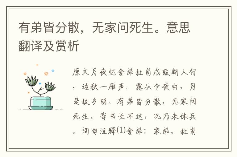 有弟皆分散,无家问死生。意思翻译及赏析