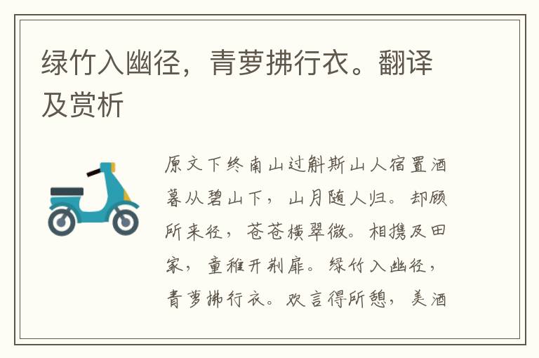 绿竹入幽径,青萝拂行衣。翻译及赏析