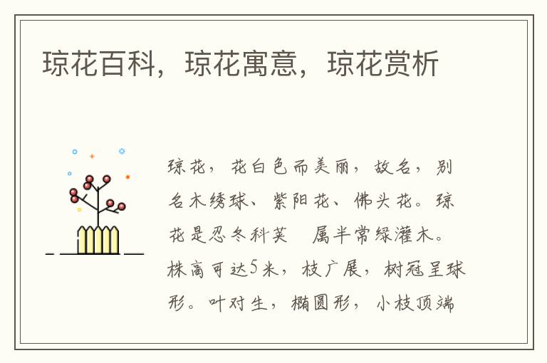 琼花百科,琼花寓意,琼花赏析