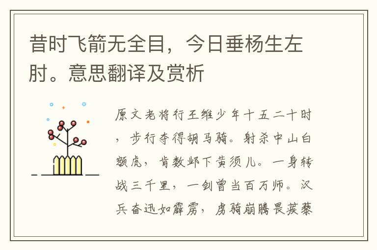 昔时飞箭无全目,今日垂杨生左肘。意思翻译及赏析